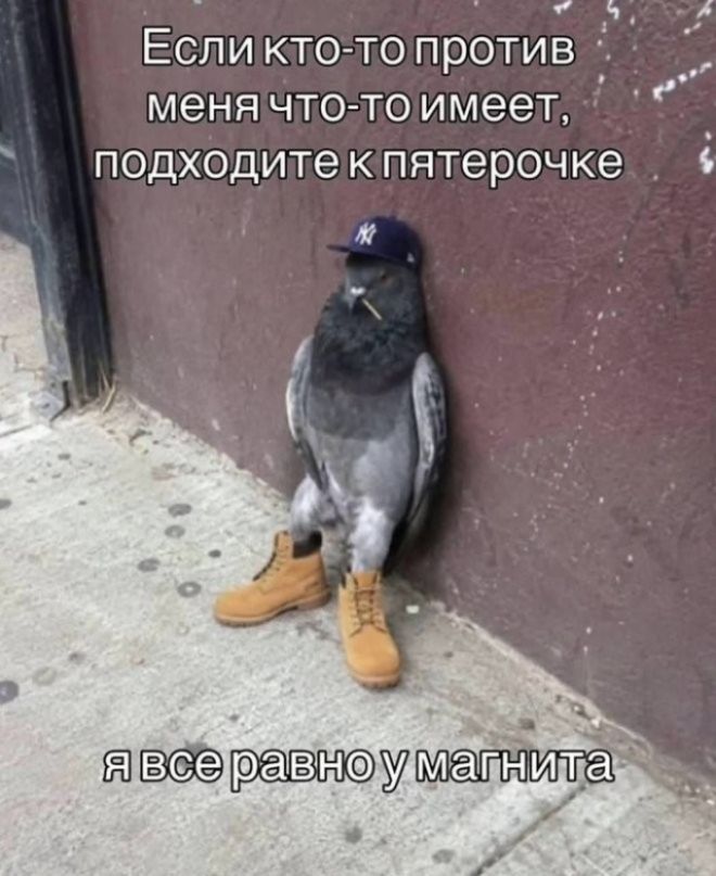 Если кто-то против меня что-то имеет, подходите к пятерочке я все равно у магнита