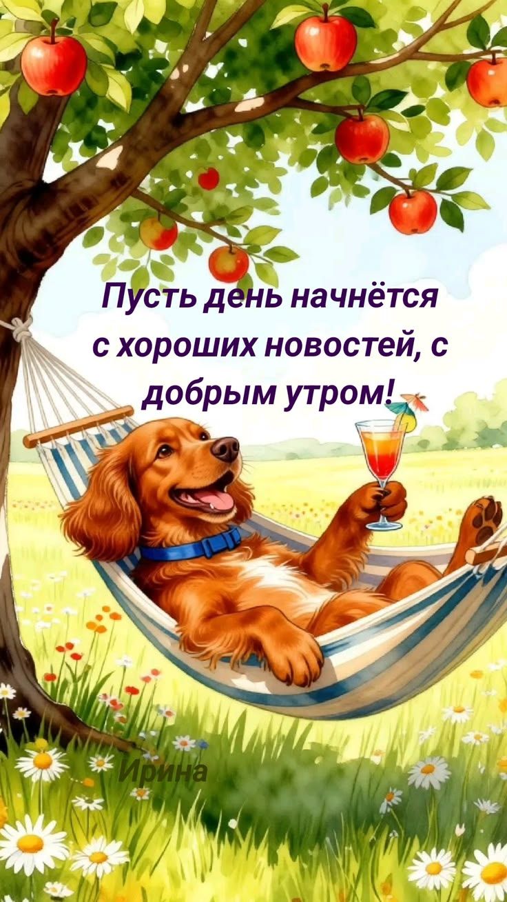 Пусть день начнется с хороших новостей, с добрым утром! Ирина