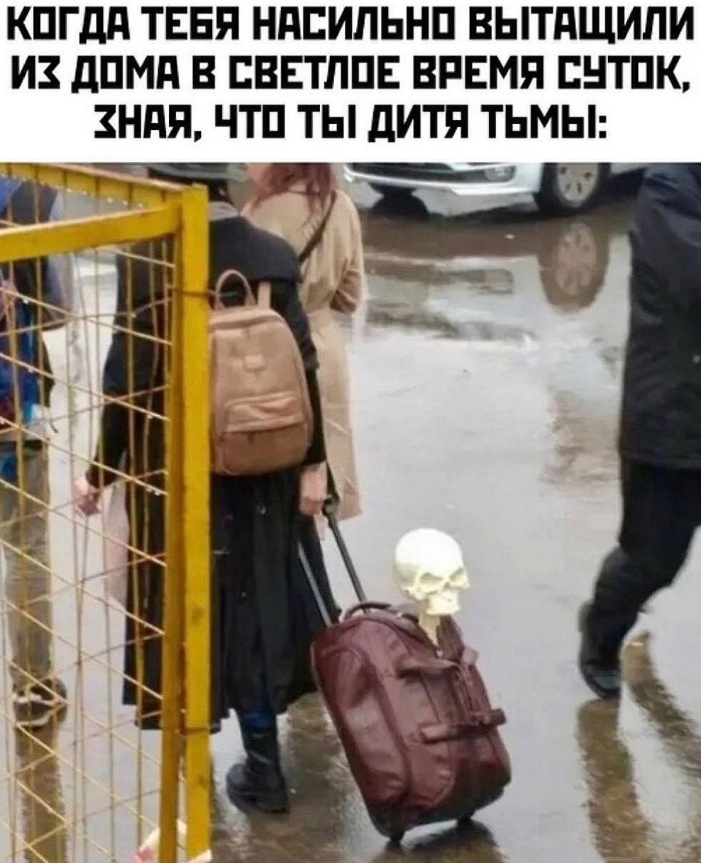 КОГДА ТЕБЯ НАСИЛЬНО ВЫТАЩИЛИ ИЗ ДОМА В СВЕТЛОЕ ВРЕМЯ СУТОК, ЗНАЯ, ЧТО ТЫ ДИТЯ ТЬМЫ: