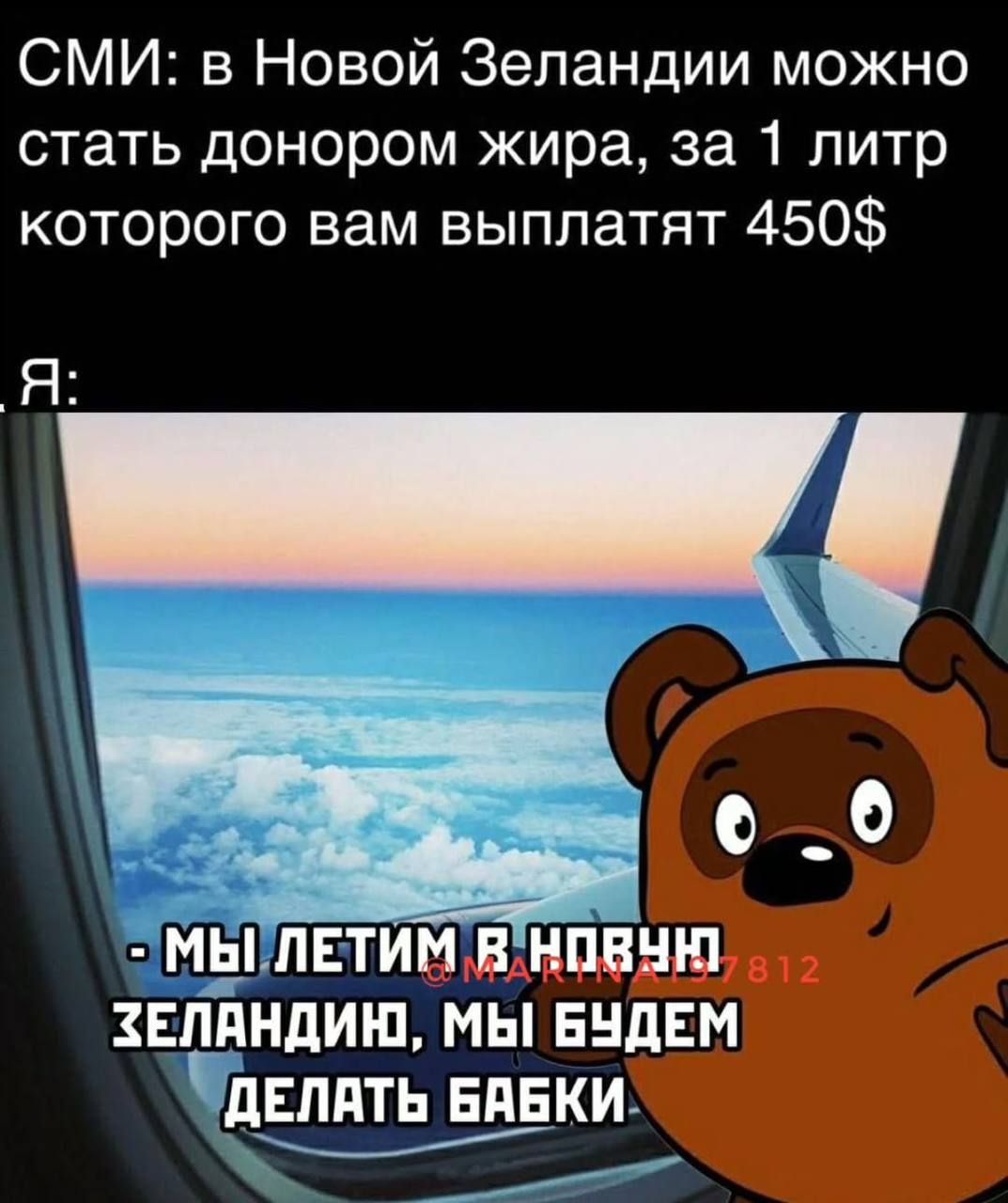 СМИ: в Новой Зеландии можно стать донором жира, за 1 литр которого вам выплатоят 450$. Я: Мы летим в Новую Зеландию, мы будем делать бабки