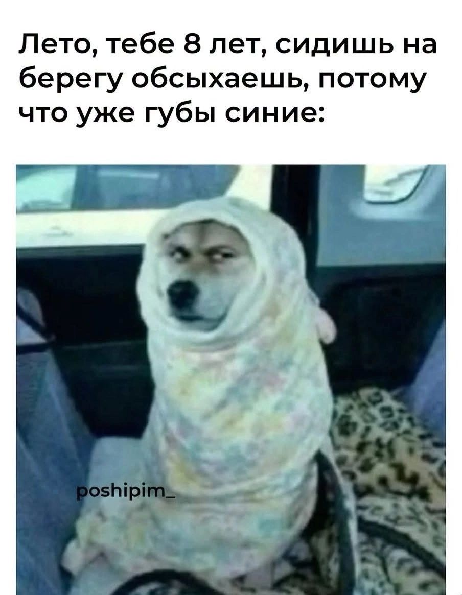 Лето, тебе 8 лет, сидишь на берегу обсыхаешь, потому что уже губы синие: poshipim_