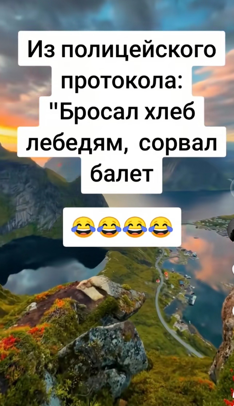 Из полицейского протокола: Бросал хлеб лебедям, сорвал балет