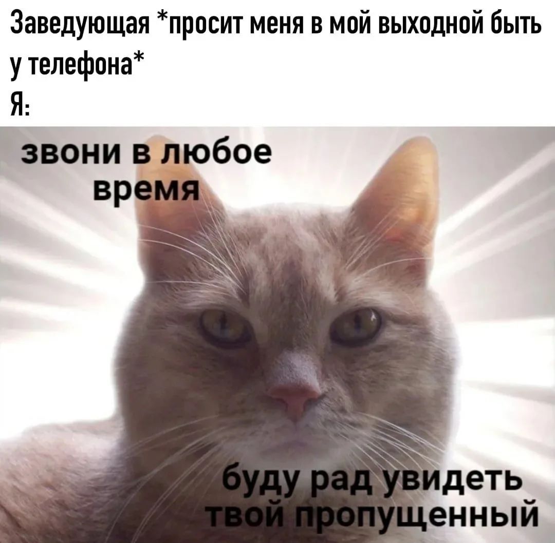Заведующая *просит меня в мой выходной быть у телефона* Я: звони в любое время буду рад увидеть твой пропущенный