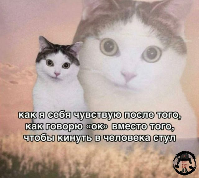 как я себя чувствую после того, как говорю «ок» вместо того, чтобы кинуть в человека стул
