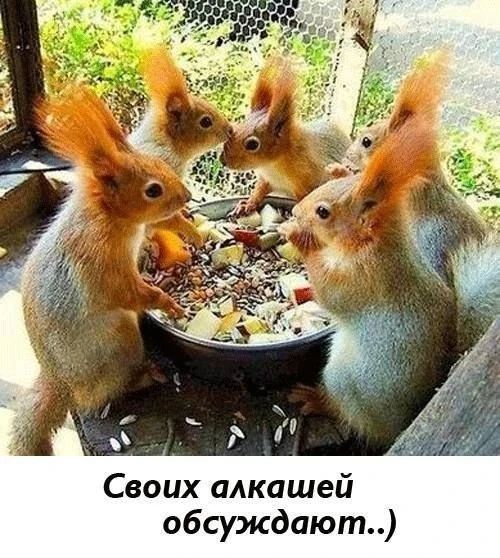Своих алкашей обсуждают..)