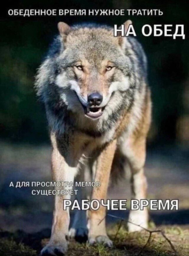 ОБЕДЕННОЕ ВРЕМЯ НУЖНО ТРАТИТЬ НА ОБЕД А ДЛЯ ПРОСМОТРА МЕМОВ СУЩЕСТВУЕТ РАБОЧЕЕ ВРЕМЯ
