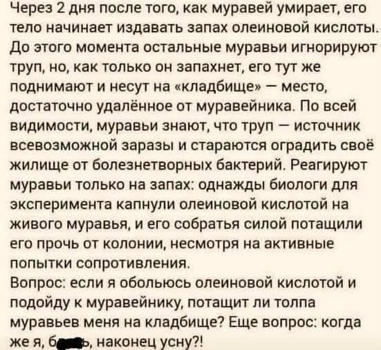 Через 2 дня после того, как муравей умирает, его тело начинает издавать запах олеиновой кислоты. До этого момента остальные муравьи игнорируют труп, но, как только он запахнет, его тут же поднимают и несут на «кладбище» — место, достаточно удалённое от муравейника. По всей видимости, муравьи знают, что труп — источник всевозможной заразы и