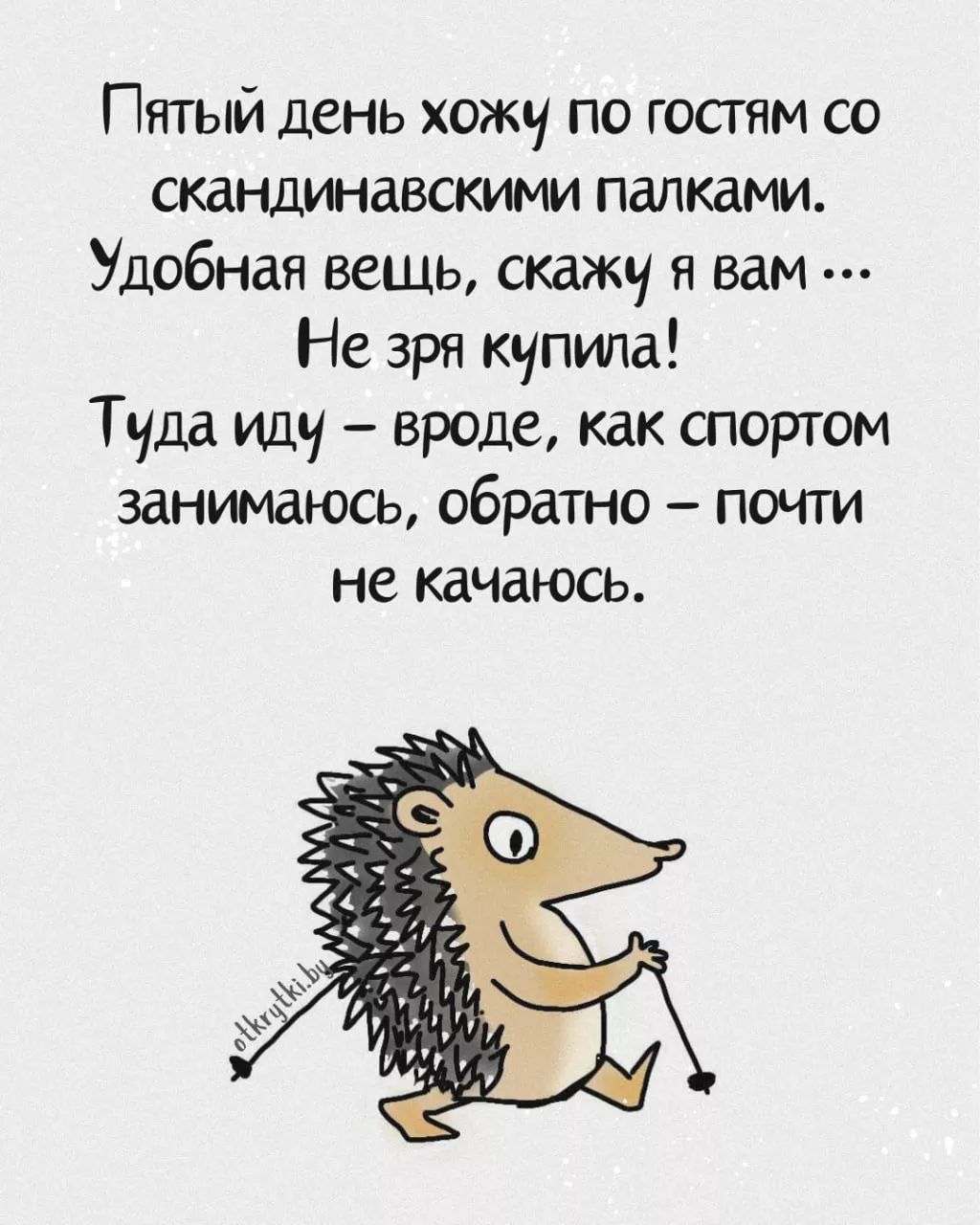 Пятый день хожу по гостям со скандинавскими палками. Удобная вещь, скажу я вам... Не зря купила! Туда иду – вроде, как спортом занимаюсь, обратно – почти не качаюсь.