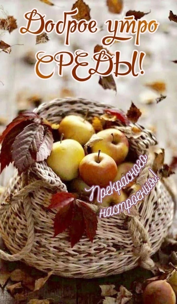 Доброе утро среды! Прекрасного настроения!