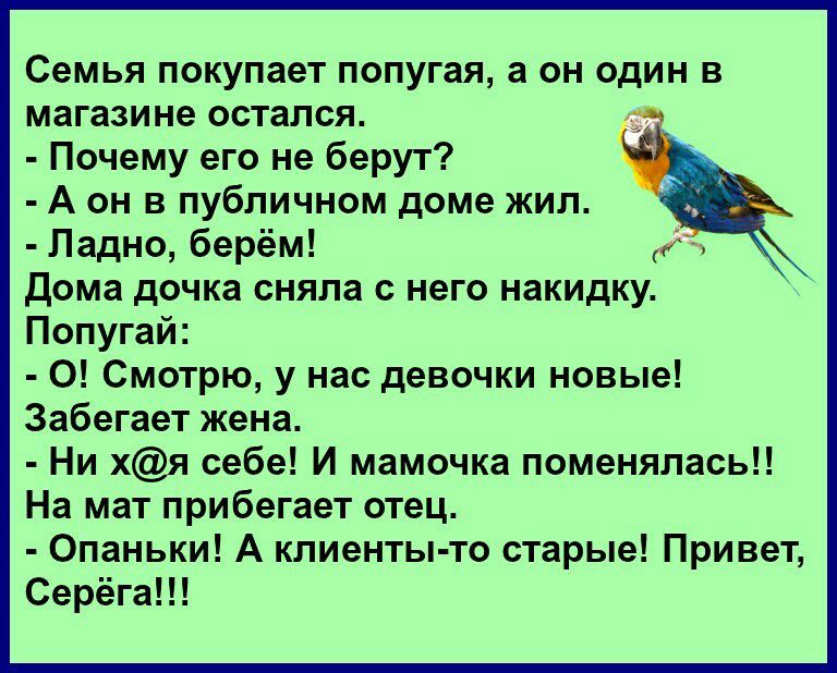 Семья покупает попугая, а он один в магазине остался. - Почему его не берут? - А он в публичном доме жил. - Ладно, берём! Дома дочка сняла с него накидку. Попугай: - О! Смотрю, у нас девочки новые! Забегает жена. - Ни х@я себе! И мамочка поменялась!! На мат прибегает отец. - Опаньки! А клиенты-то старые! Привет, Серёга!!!