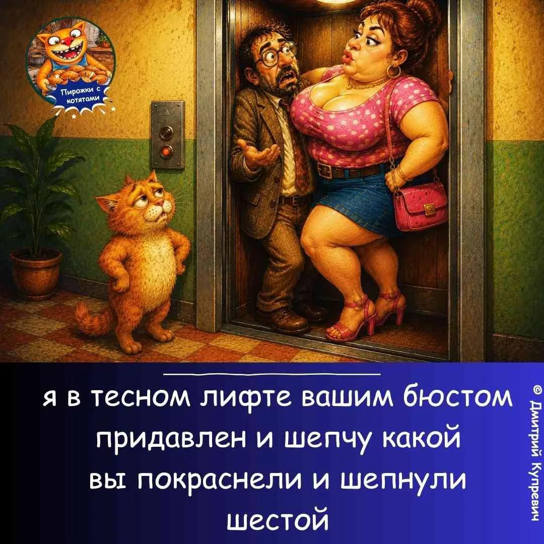 Пирожки с котятами я в тесном лифте вашим бюстом придавлен и шепчу какой вы покраснели и шепнули шестой