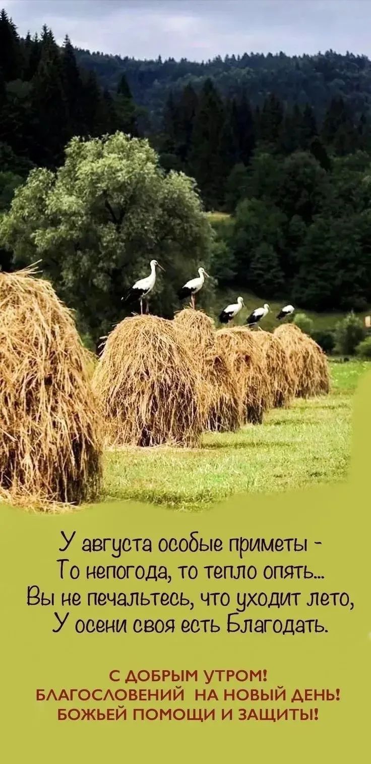 У августа особые приметы - То непогода, то тепло опять... Вы не печальтесь, что уходит лето, У осени своя есть Благодать. С ДОБРЫМ УТРОМ! БЛАГОСЛОВЕНИЙ НА НОВЫЙ ДЕНЬ! БОЖЬЕЙ ПОМОЩИ И ЗАЩИТЫ!
