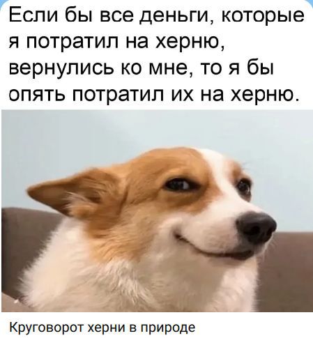 Если бы все деньги, которые я потратил на херню, вернулись ко мне, то я бы опять потратил их на херню. Круговорот херни в природе