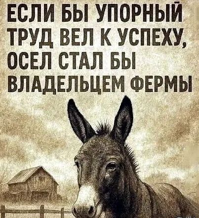 ЕСЛИ БЫ УПОРНЫЙ ТРУД ВЕЛ К УСПЕХУ, ОСЕЛ СТАЛ БЫ ВЛАДЕЛЬЦЕМ ФЕРМЫ