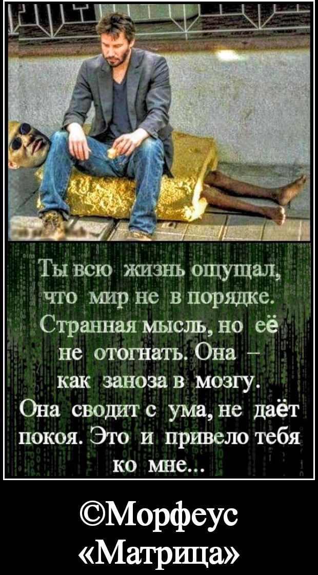 Ты всю жизнь ощущал, что мир не в порядке. Странная мысль, но её не отогнать. Она — как заноза в мозгу. Она сводит с ума, не даёт покоя. Это и привело тебя ко мне... ©Морфеус «Матрица»