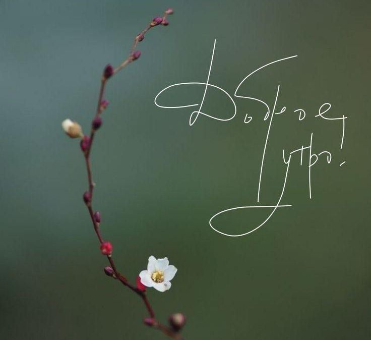 Доброе утро!