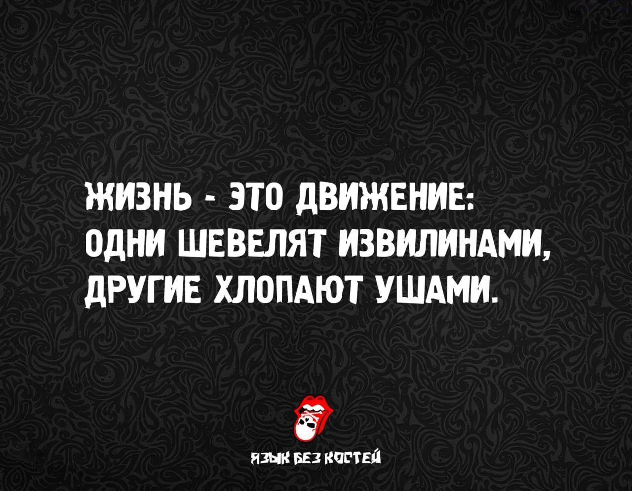 ЖИЗНЬ - ЭТО ДВИЖЕНИЕ: ОДНИ ШЕВЕЛЯТ ИЗВИЛИНАМИ, ДРУГИЕ ХЛОПАЮТ УШАМИ. ЯЗЫК БЕЗ КОСТЕЙ