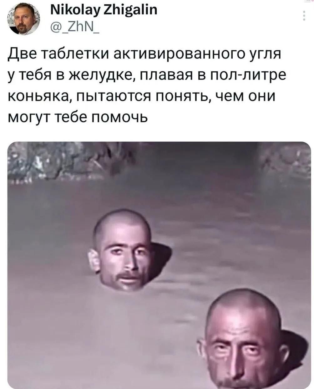 Nikolay Zhigalin @_ZhN_ Две таблетки активированного угля у тебя в желудке, плавая в пол-литре коньяка, пытаются понять, чем они могут тебе помочь