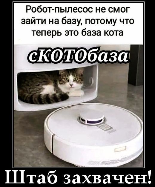 Робот-пылесос не смог зайти на базу, потому что теперь это база кота сКОТОбаза Штаб захвачен!