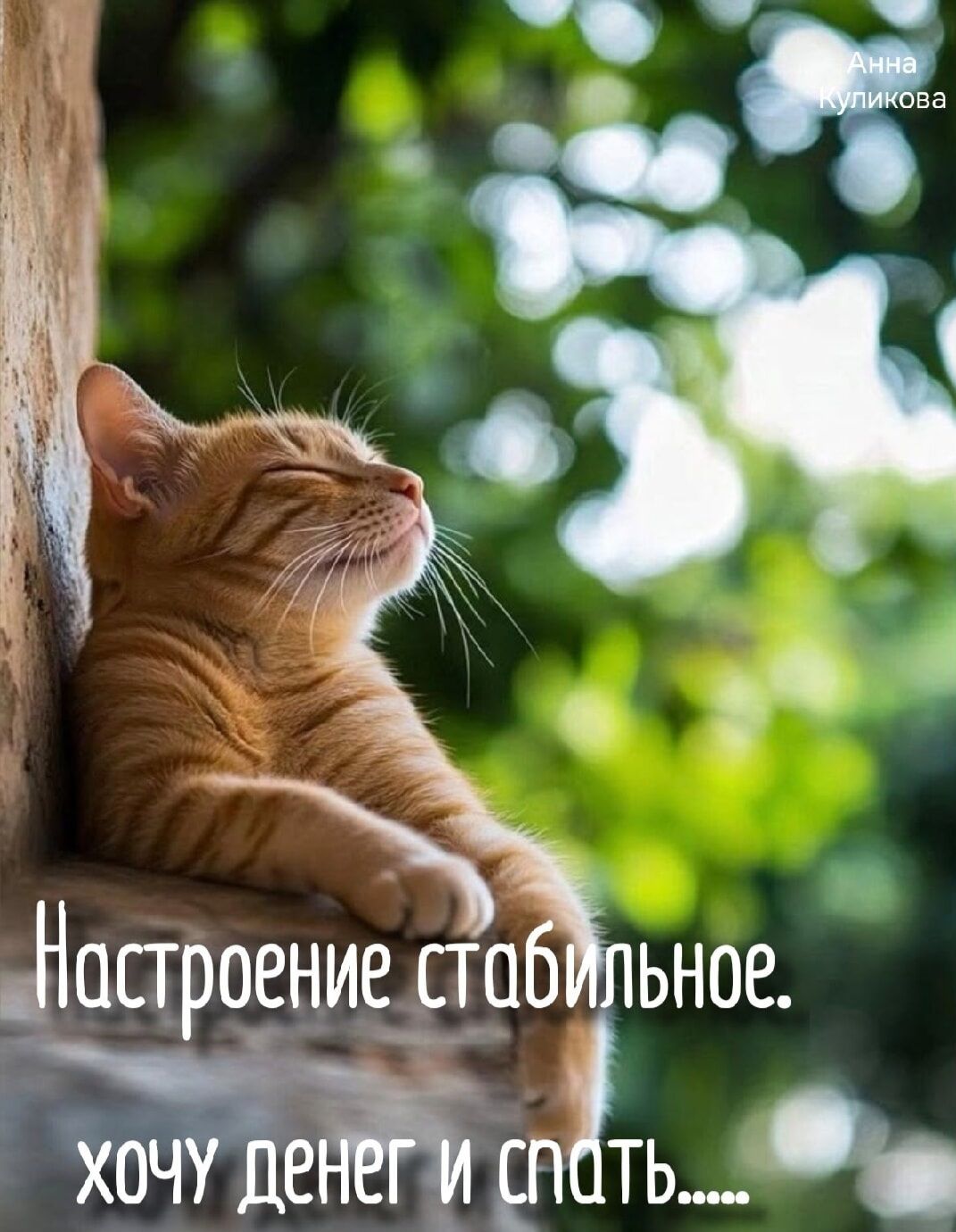 Анна Куликова Настроение стабильное. хочу денег и спать.....