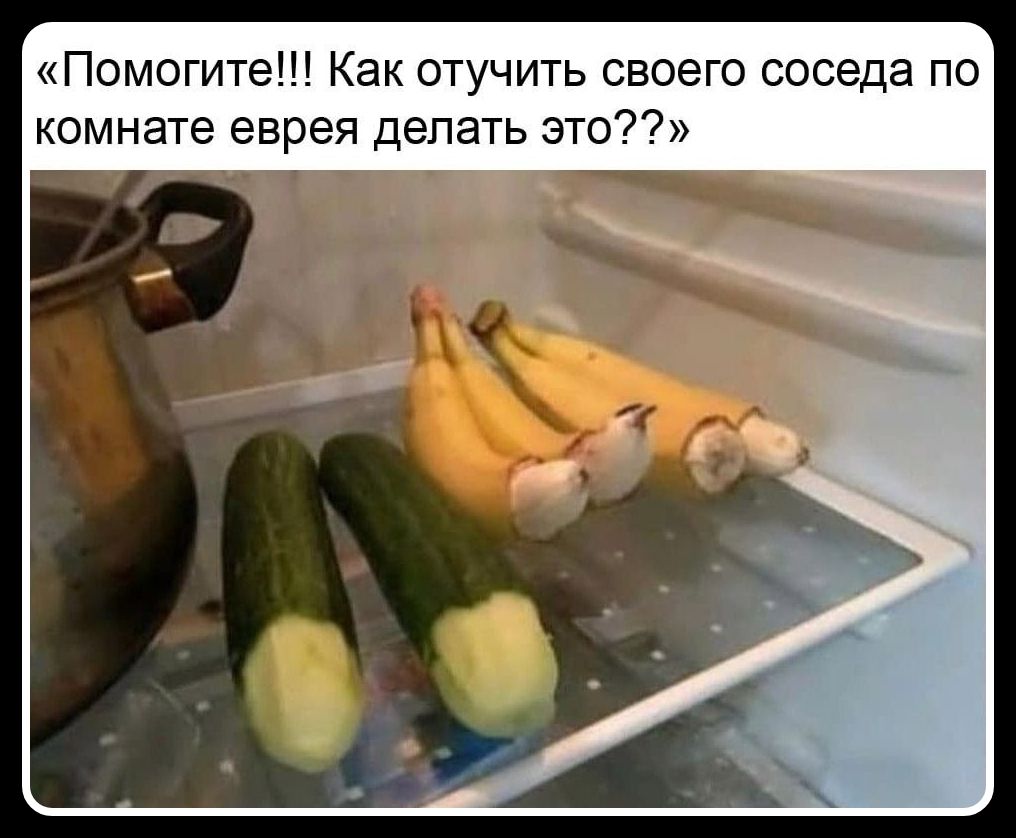 Помогите!!! Как отучить своего соседа по комнате еврея делать это??