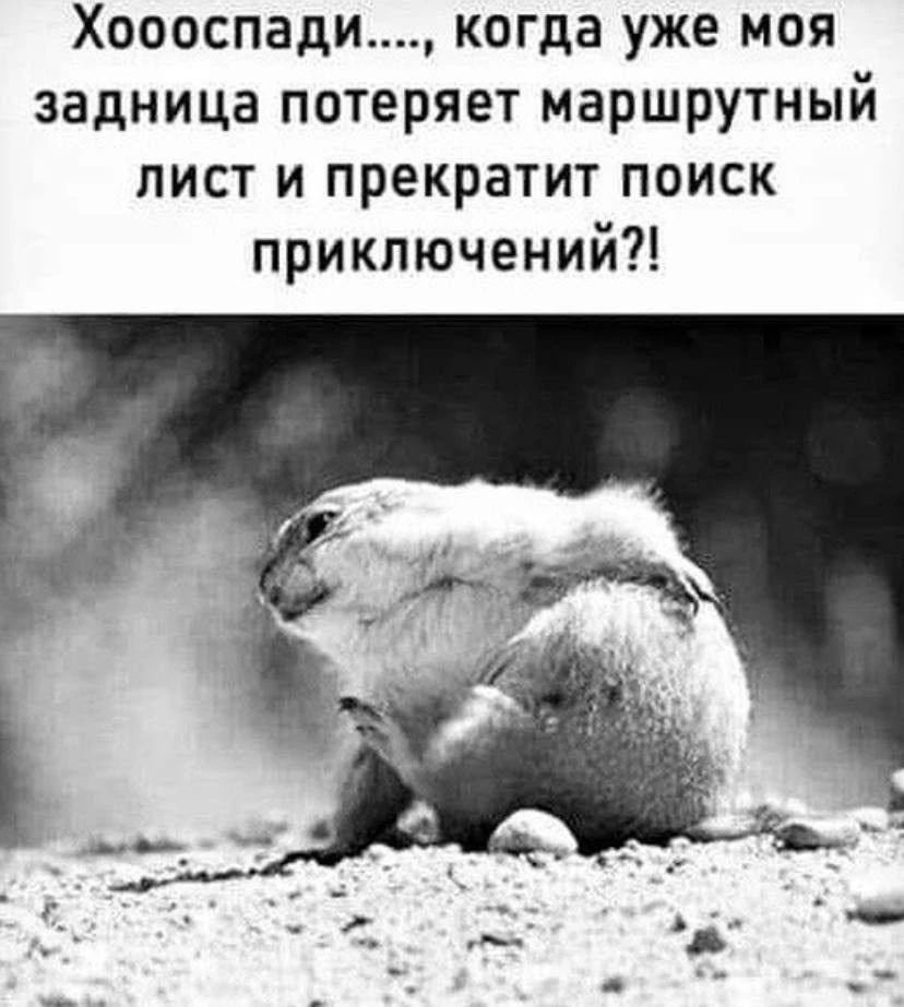 Хоооспади...., когда уже моя задница потеряет маршрутный лист и прекратит поиск приключений?!