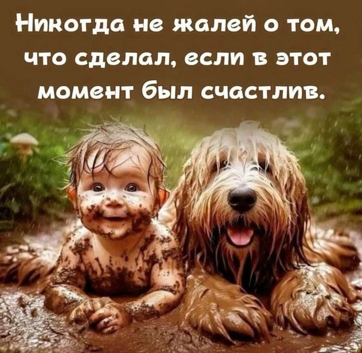 Никогда не жалей о том, что сделал, если в этот момент был счастлив.