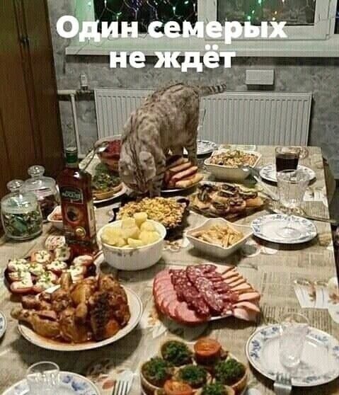 Один семерых не ждёт. Кот на праздничном столе ест еду, не дожидаясь гостей.
