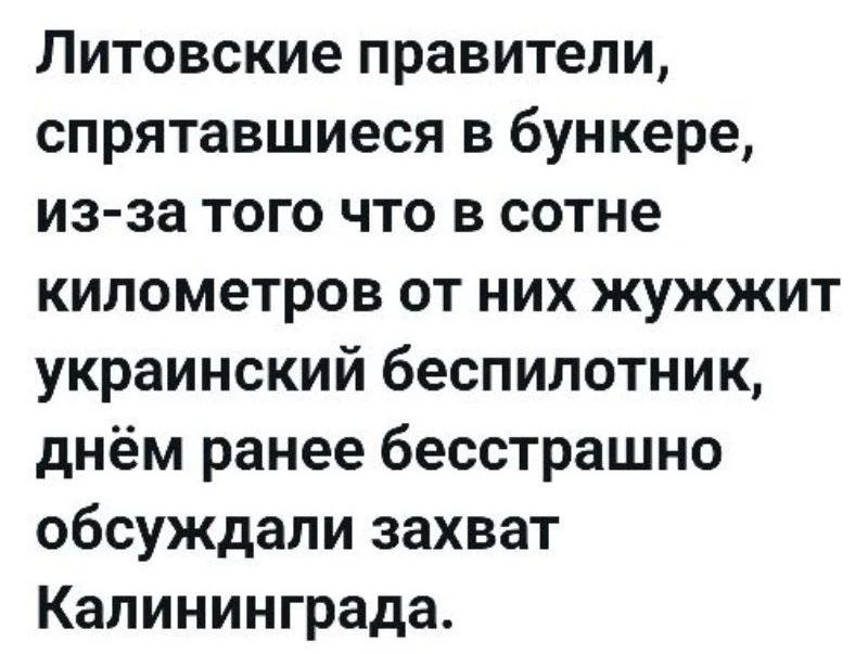 Литовские правители, спрятавшиеся в бункере, из-за того что в сотне километров от них жужжит украинский беспилотник, днём ранее бесстрашно обсуждали захват Калининграда.