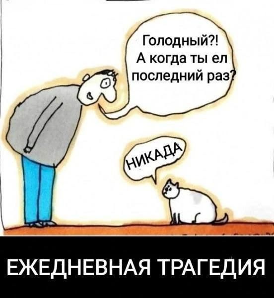 Голодный?! А когда ты ел последний раз? — Никада. Ежедневная трагедия