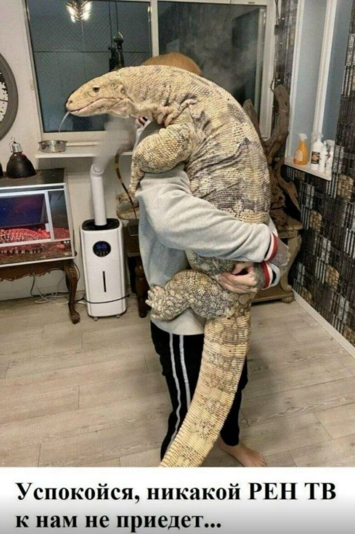 Успокойся, никакой РЕН ТВ к нам не приедет...