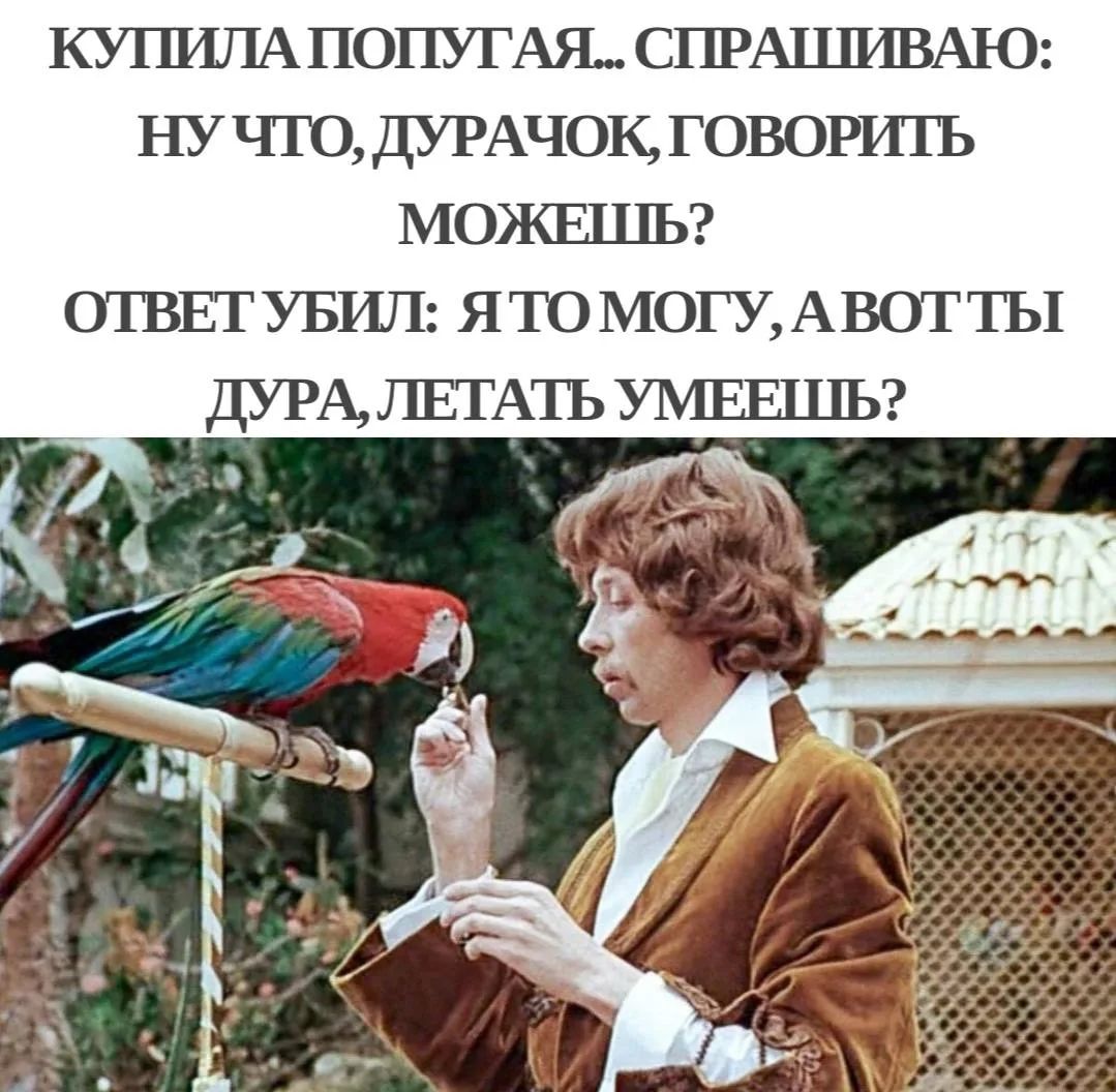 КУПИЛА ПОПУГАЯ... СПРАШИВАЮ: НУ ЧТО, ДУРАЧОК, ГОВОРИТЬ МОЖЕШЬ? ОТВЕТ УБИЛ: Я ТО МОГУ, А ВОТ ТЫ ДУРА, ЛЕТАТЬ УМЕЕШЬ?