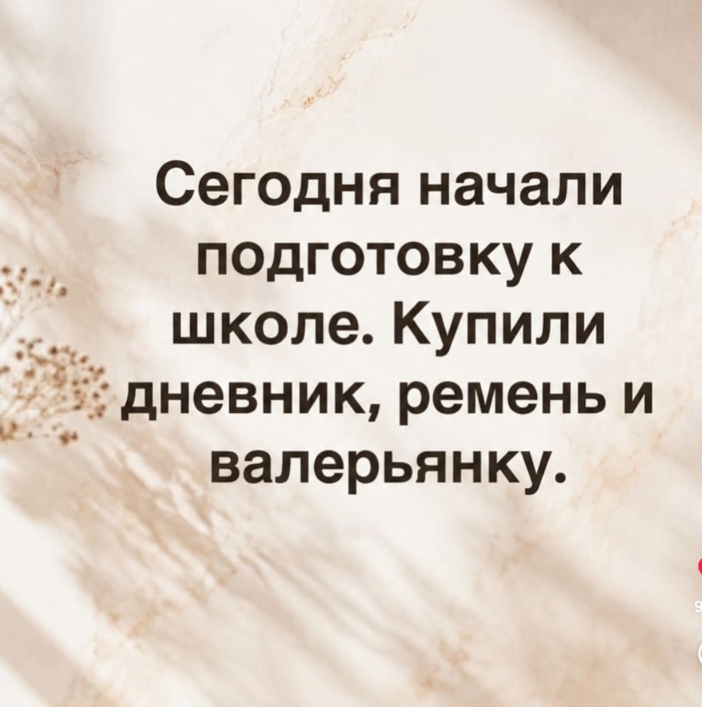 Сегодня начали подготовку к школе. Купили дневник, ремень и валерьянку.