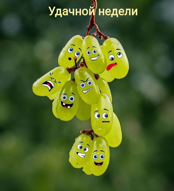 Удачной недели