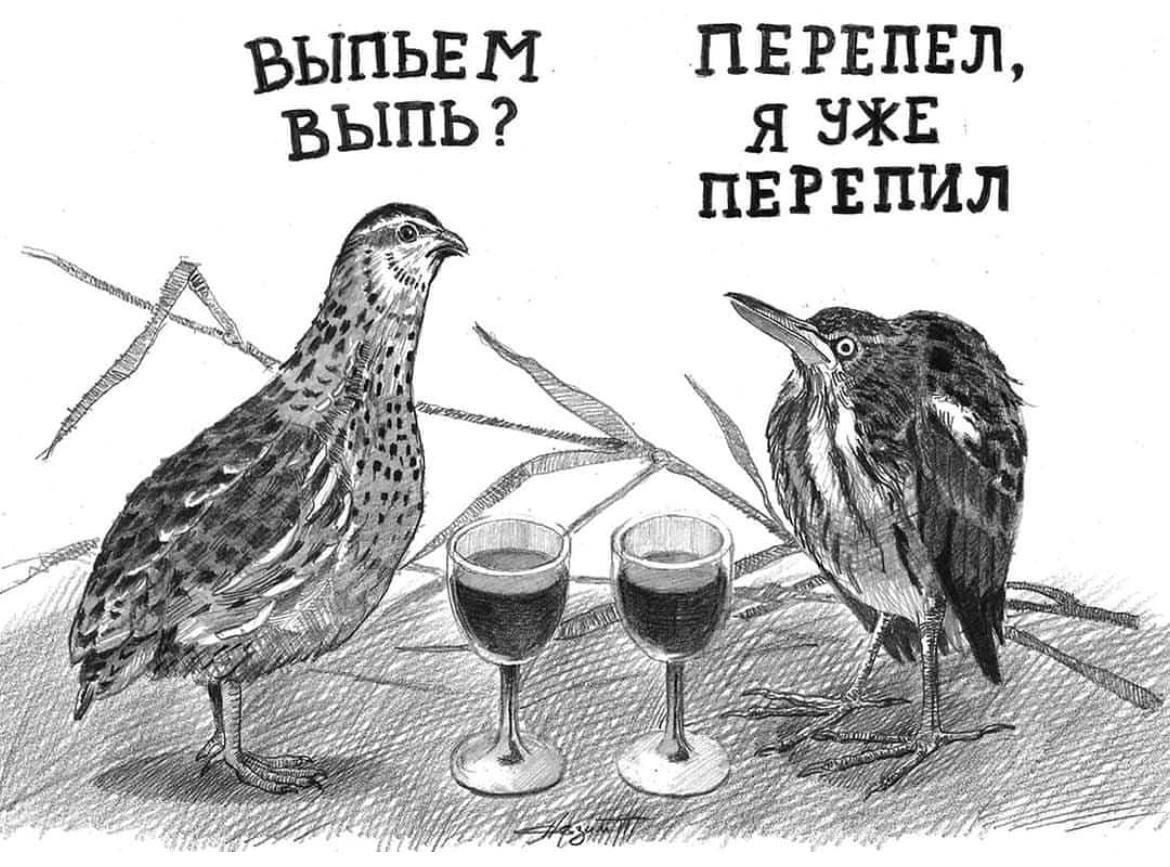 Выпьем выпь? Перепел, я уже перепил