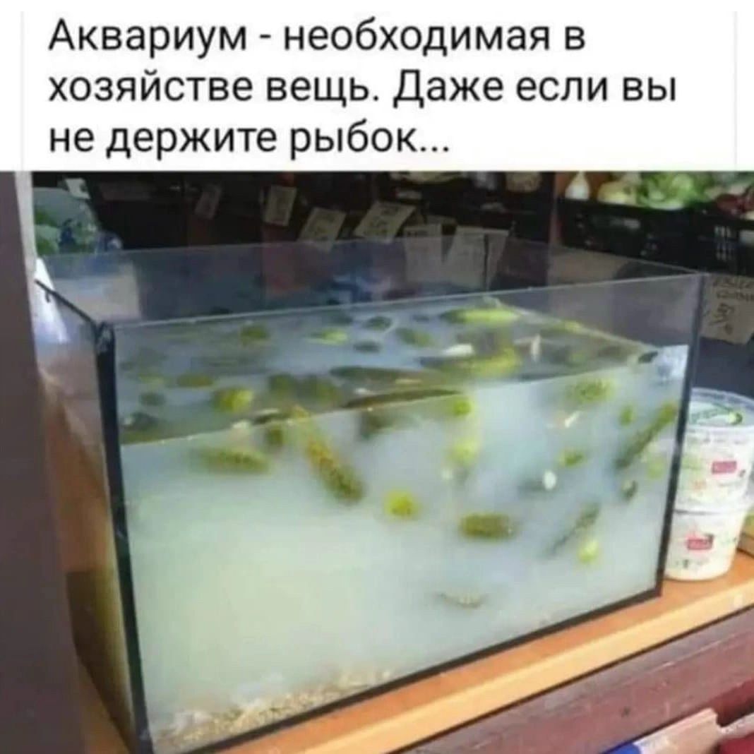 Аквариум - необходимая в хозяйстве вещь. Даже если вы не держите рыбок...