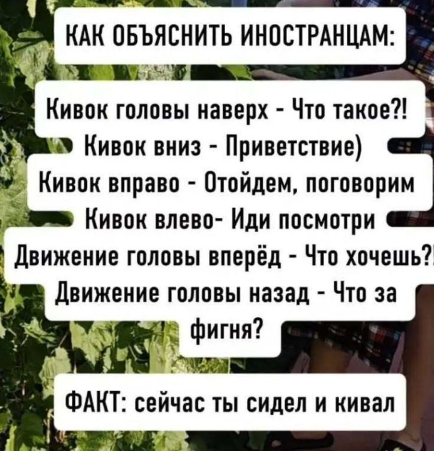 КАК ОБЪЯСНИТЬ ИНОСТРАНЦАМ: Кивок головы наверх - Что такое?! Кивок вниз - Приветствие) Кивок вправо - Отойдем, поговорим Кивок влево - Иди посмотри Движение головы вперёд - Что хочешь?! Движение головы назад - Что за фигня? ФАКТ: сейчас ты сидел и кивал