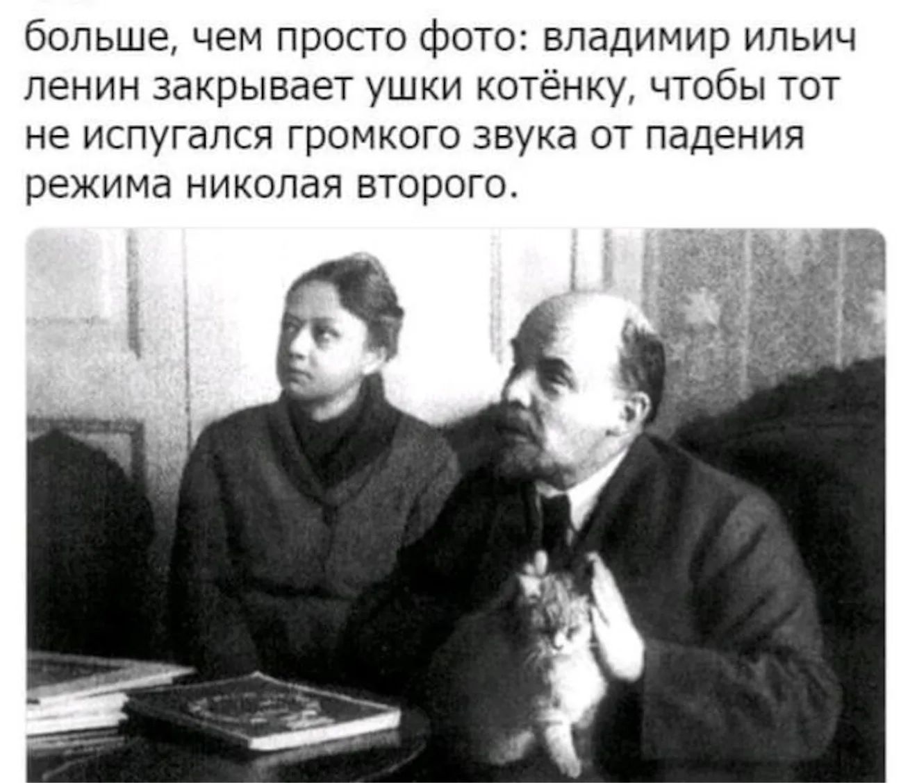 больше, чем просто фото: владимир ильич ленин закрывает ушки котёнку, чтобы тот не испугался громкого звука от падения режима николая второго.