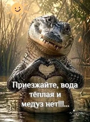 Приезжайте, вода тёплая и медуз нет!!!