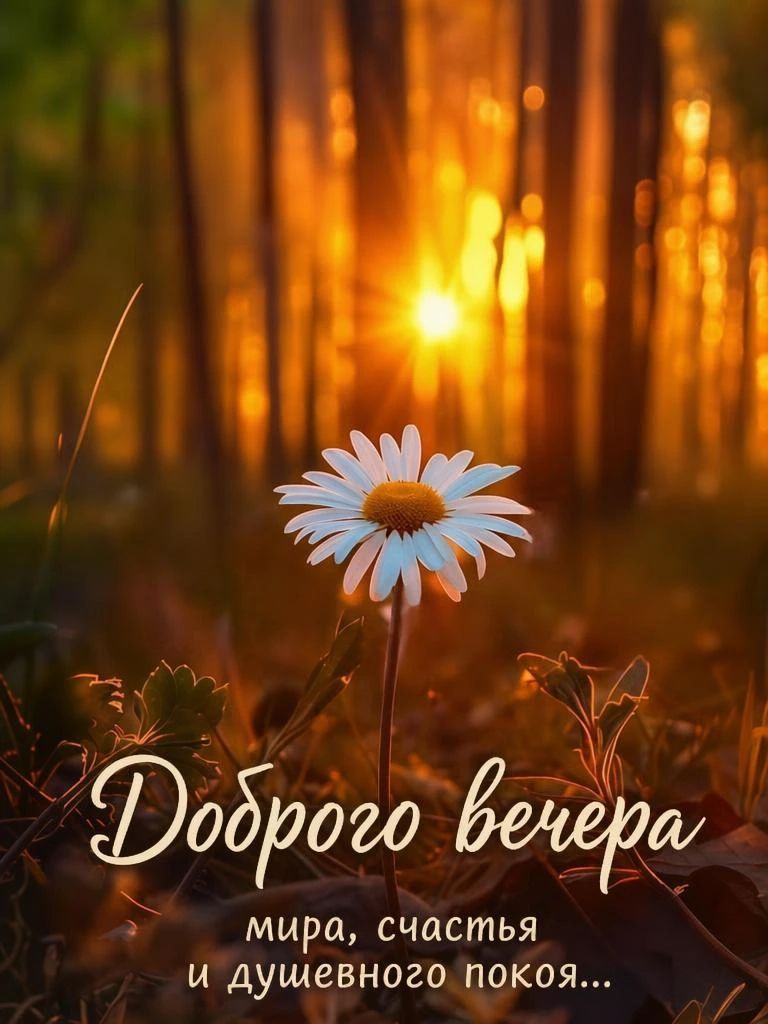 Доброго вечера мира, счастья и душевного покоя...
