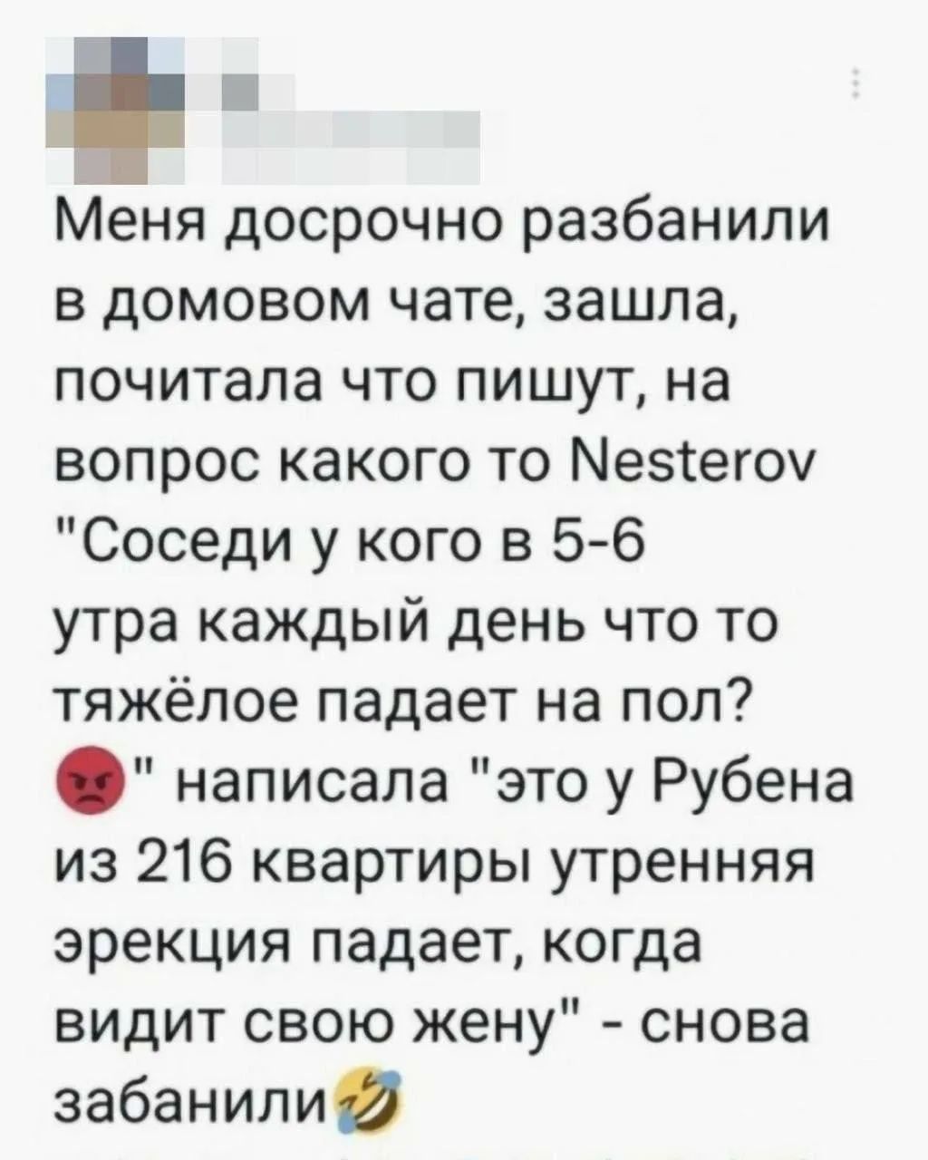 Меня досрочно разбанили в домовом чате, зашла, почитала что пишут, на вопрос какого то Nesterov 