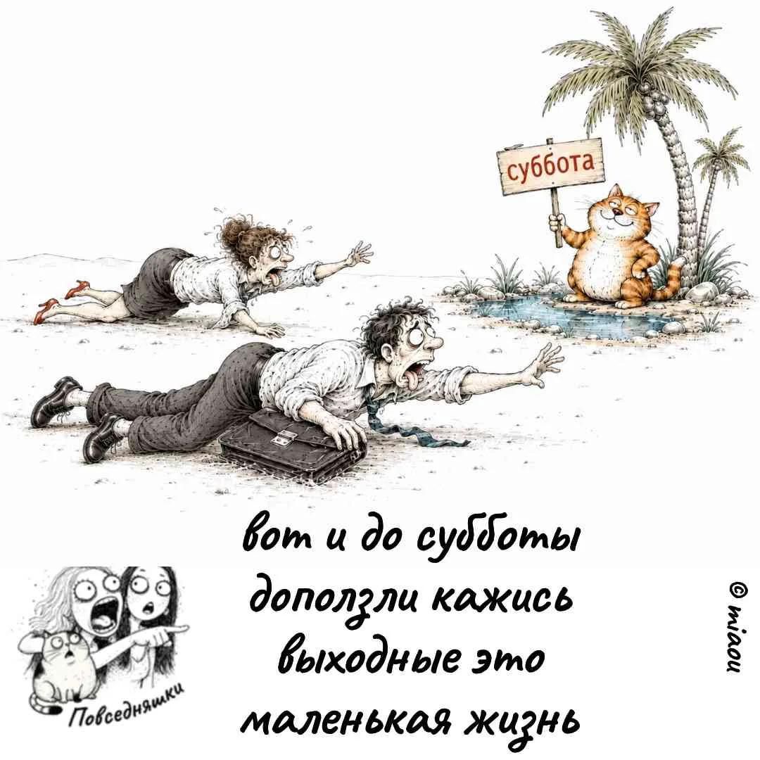 суббота. вот и до субботы доползли кажись. выходные это маленькая жизнь. Повседневняшки. © miaou