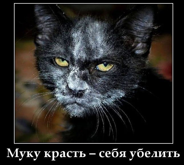 Муку красть – себя убелить