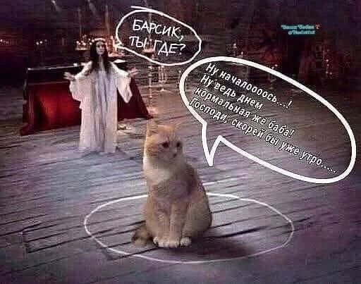 БАРСИК, ТЫ ГДЕ? Ну началоооось...! Ну ведь днем нормальная же баба! Господи, скорей бы уже утро....