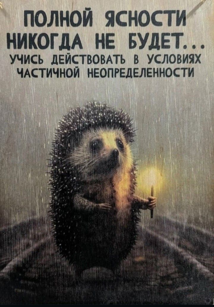 ПОЛНОЙ ЯСНОСТИ НИКОГДА НЕ БУДЕТ... УЧИСЬ ДЕЙСТВОВАТЬ В УСЛОВИЯХ ЧАСТИЧНОЙ НЕОПРЕДЕЛЕННОСТИ