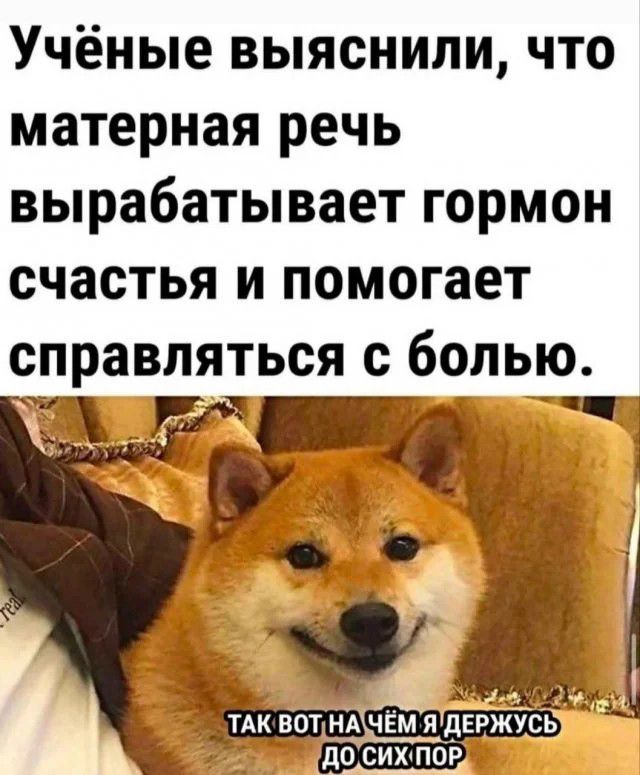 Учёные выяснили, что матерная речь вырабатывает гормон счастья и помогает справляться с болью. Так вот на чём я держусь до сих пор