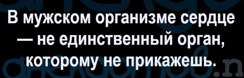 В мужском организме сердце — не единственный орган, которому не прикажешь.