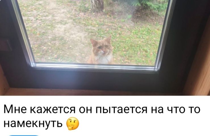 Мне кажется он пытается на что то намекнуть 🤔