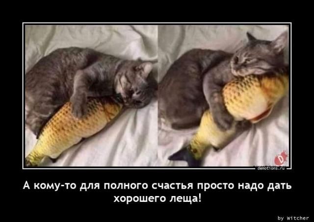 А кому-то для полного счастья просто надо дать хорошего леща!