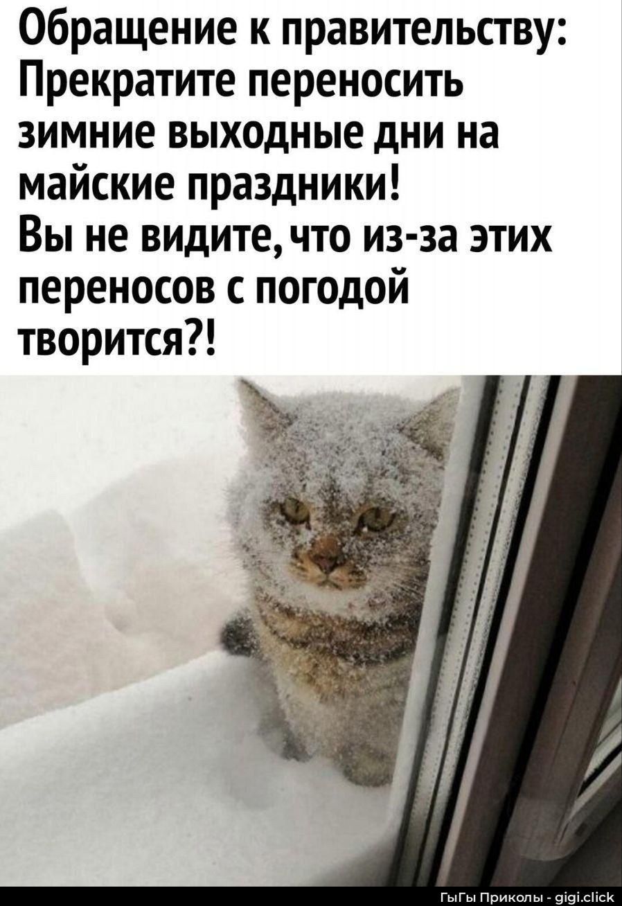 Обращение к правительству: Прекратите переносить зимние выходные дни на майские праздники! Вы не видите, что из-за этих переносов с погодой творится?!